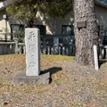 平塚の塚緑地の写真_888677