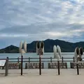 うさぎ耳集音器の写真_889698