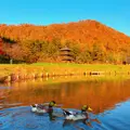 まほろば古の里歴史公園の写真_892480