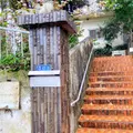 ロギの写真_892796