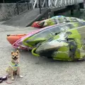 比謝川カヤックの写真_892808