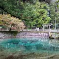 別府弁天池の写真_894074