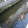 起し太鼓の里の写真_894140