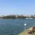 大濠公園の写真_895032