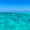 池間島ダイビングサービスの写真_896576