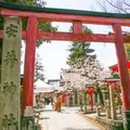 安井金比羅宮の写真_896831