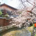 巽橋の写真_896844