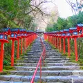貴船神社の写真_896849
