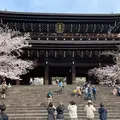 知恩院の写真_897428