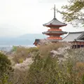 清水寺の写真_899438