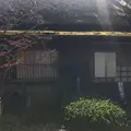 自然処の写真_899485