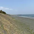 照ヶ崎海岸の写真_899912