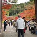 永観堂（禅林寺）の写真_899919