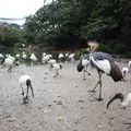 ネオパークオキナワの写真_900371