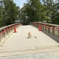 天橋立の写真_906992
