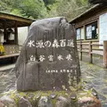 白谷雲水峡の写真_907079