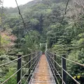 さつき吊橋の写真_907085