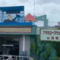 熱海秘宝館の写真_909496