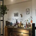 PART OF NATUREの写真_909635