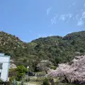王子が岳の写真_910029