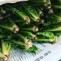 JA阿蘇小国郷朝どり市よかとこ市の写真_910229