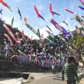 杖立温泉の写真_910245