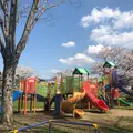 ケヤキ広場の写真_910290