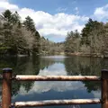 雲場池の写真_910746