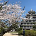 岡山城の写真_911544