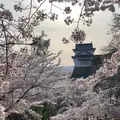 津山城跡の写真_911548
