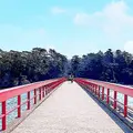 福浦橋の写真_913183