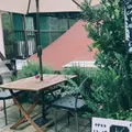 CELESTA TEAの写真_918947