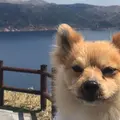 摩周湖の写真_919913