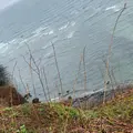 能取岬海岸の写真_920105