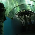 山梨県立 富士湧水の里 水族館（森の水族館）の写真_922096