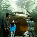 栃木県なかがわ水遊園の写真_922101