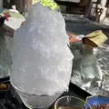 阿左美冷蔵 金崎本店の写真_923781