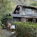 梟の館の写真_924181