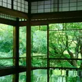 瑠璃光院の写真_924841