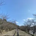 蹴上インクラインの写真_928317
