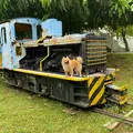壺川東公園の写真_931770