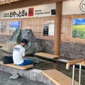 鹿児島空港の写真_931958