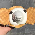 象の鼻パークの写真_932286