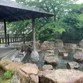 音信川河川公園の写真_932865