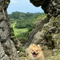 玉城城跡の写真_934217