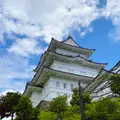 小田原城址公園の写真_934731