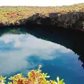 通り池の写真_934773