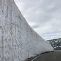 雪の大谷の写真_935980