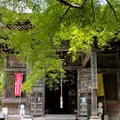 岩之上堂の写真_936054