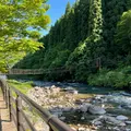 川原の湯っこの写真_936454